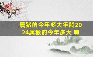 属猪的今年多大年龄2024属猴的今年多大 嘿